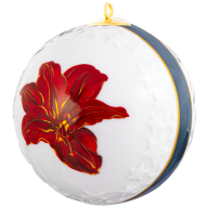 Baumschmuck Kugel Reliefsterne, Amaryllis, Ø 7 cm