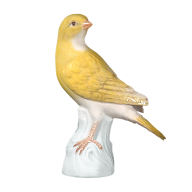 Vogel Kanarienvogel, Bunt staffiert