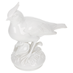 Vogel Haubenlerche, Weiß