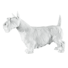Hund Scotchterrier, Weiß, H 13 cm
