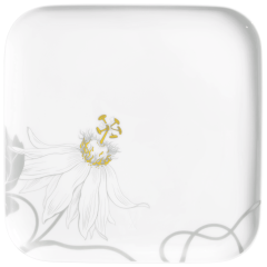 Starter- and Dessert Plate, Shape "nova", Passion flower, 21 x 21 cm