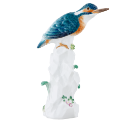 Vogel Eisvogel, Bunt staffiert