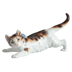 Katze, Leichte Staffage, schwarzbraun