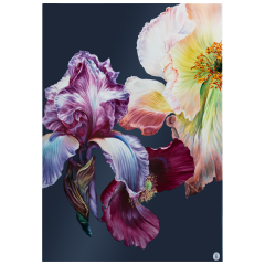 Wall painting, Giant Bloom - Iris and Poppy, Lim. 15, 75 x 51 cm