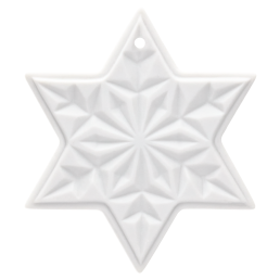 Christmas star, white, bisque, H 5 cm
