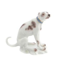 Hund Windhund, sitzend, Bunt und gold staffiert