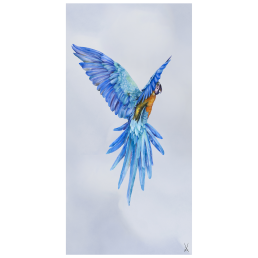 wall painting "Yellow Ara", 60 x 30 cm